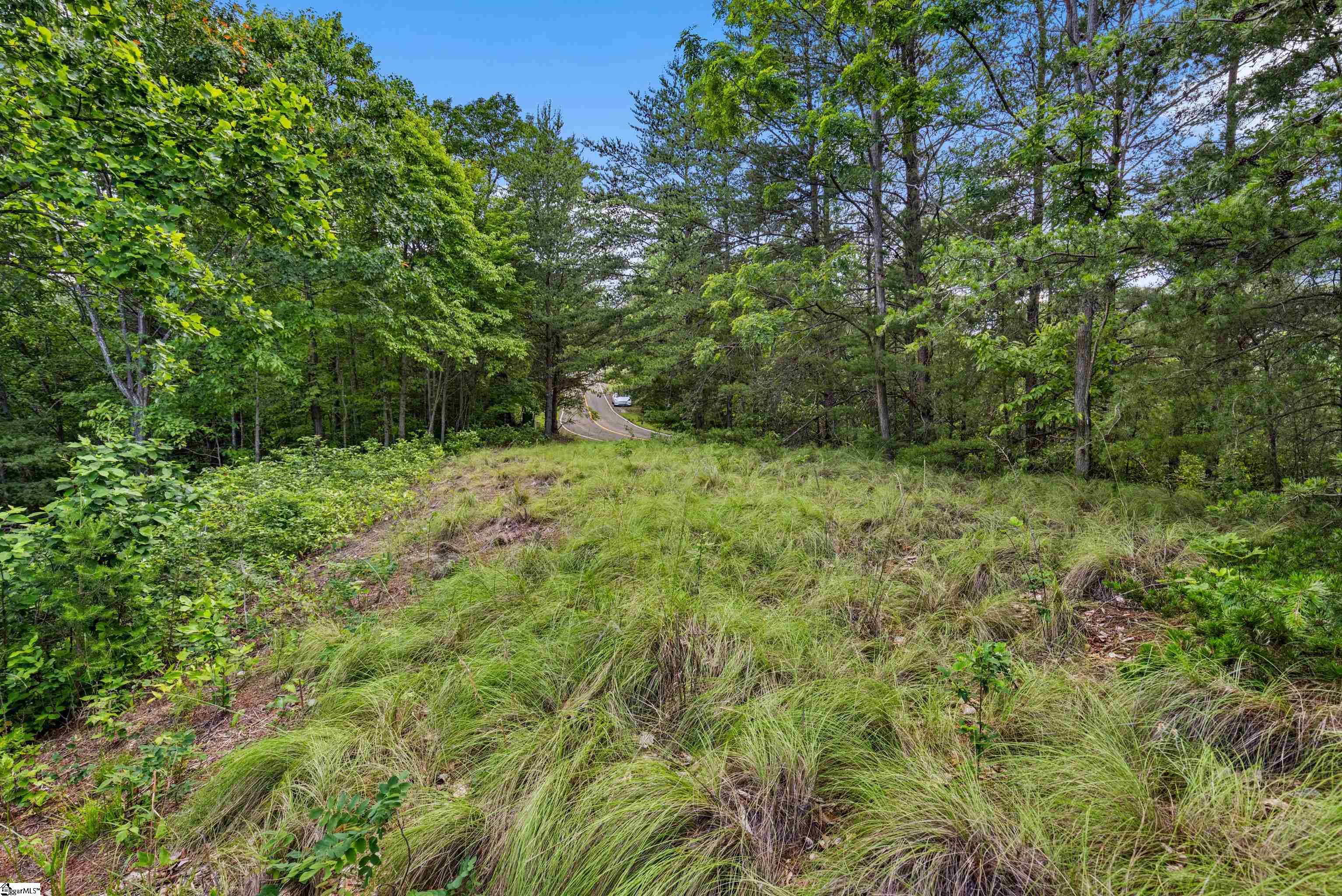 214 Craggy Rock, Landrum, South Carolina image 10