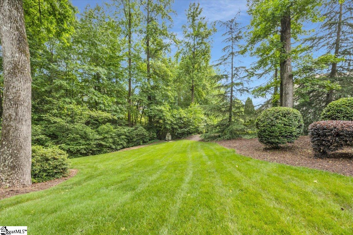 2 Arezzo, Greenville, South Carolina image 33