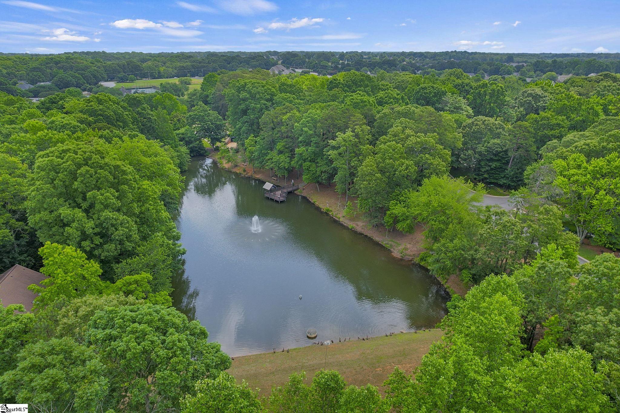 411 Wild Horse Creek, Simpsonville, South Carolina image 34