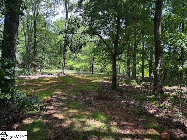 1100 Little Texas, Travelers Rest, South Carolina image 38