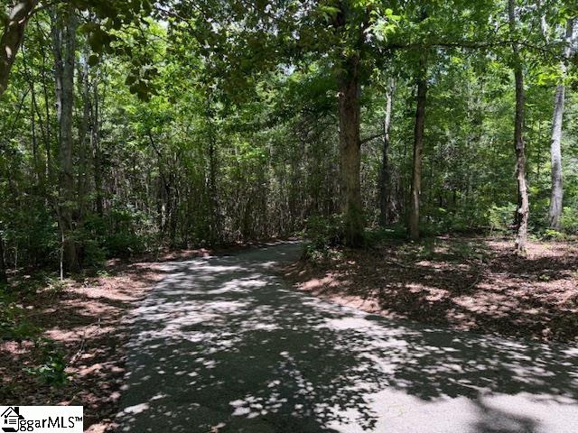 1100 Little Texas, Travelers Rest, South Carolina image 40