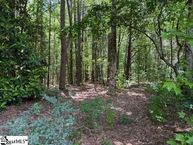 1100 Little Texas, Travelers Rest, South Carolina image 42