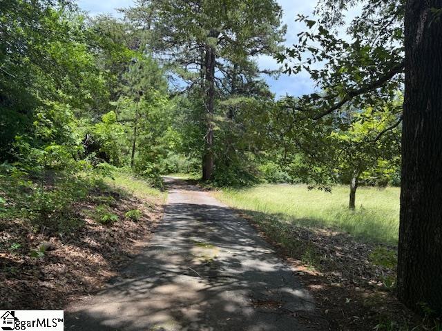 1100 Little Texas, Travelers Rest, South Carolina image 44