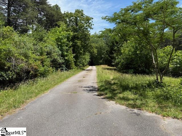 1100 Little Texas, Travelers Rest, South Carolina image 45