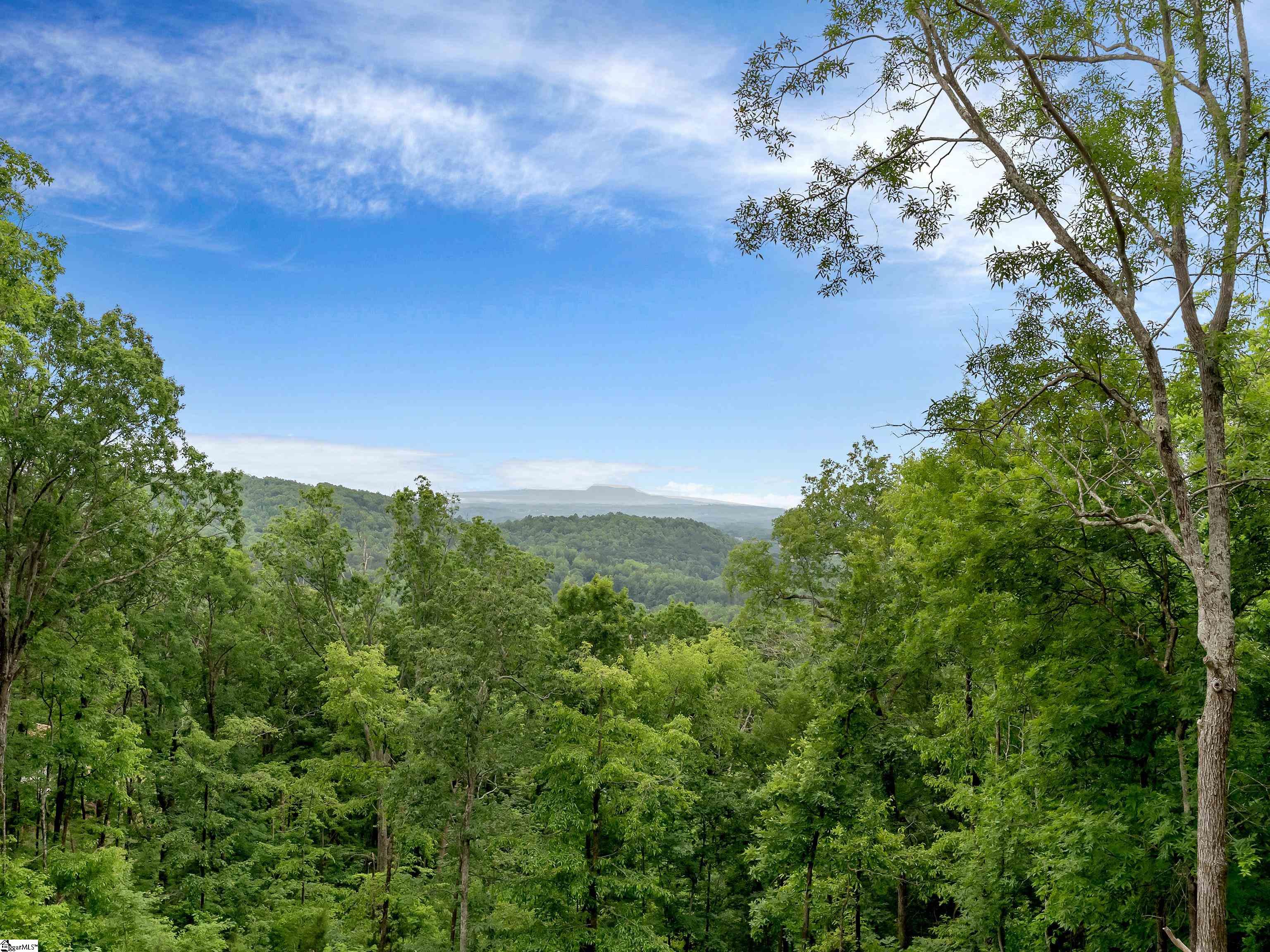 32 Mica Flats, Landrum, South Carolina image 2