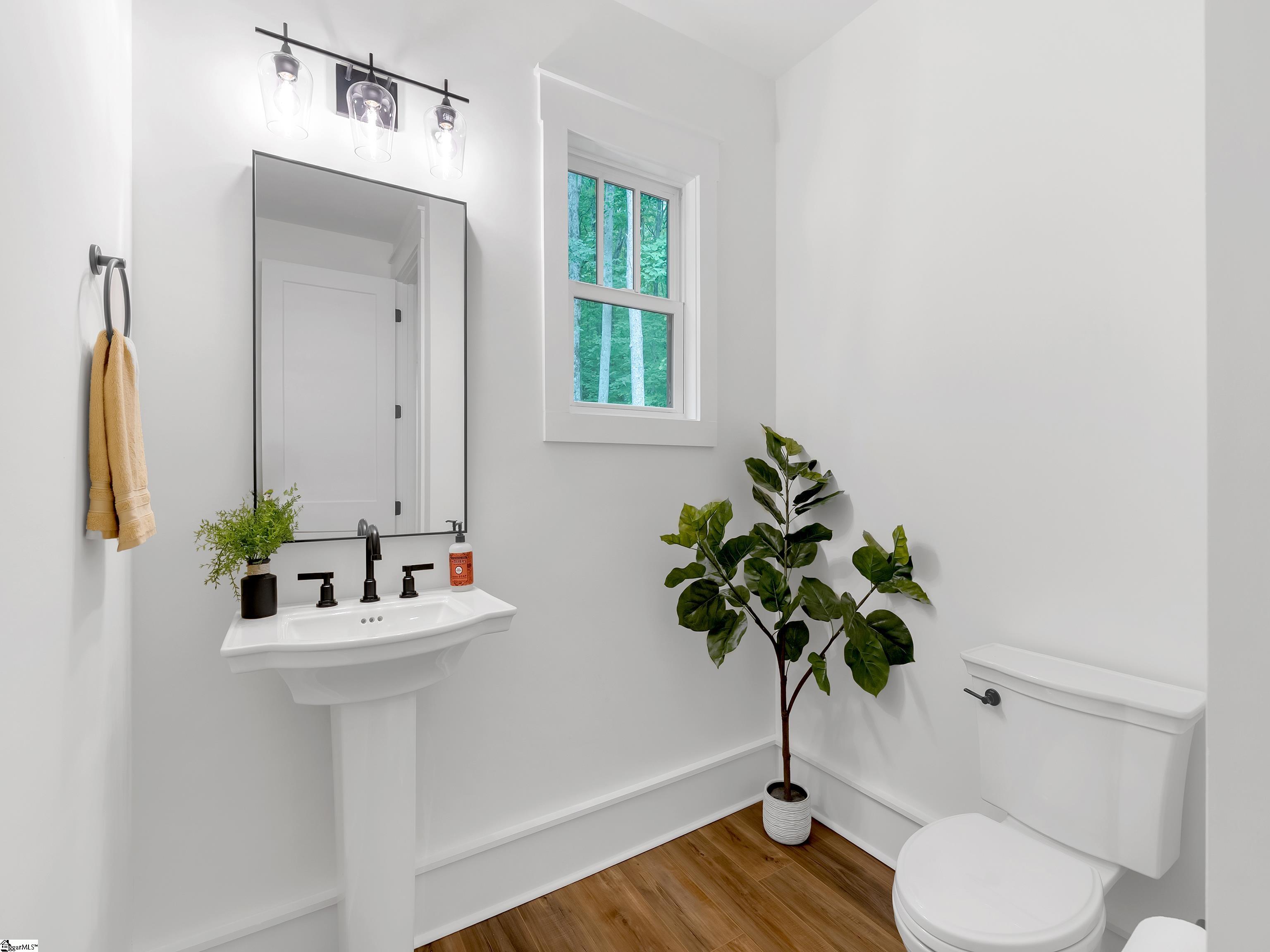 32 Mica Flats, Landrum, South Carolina image 33