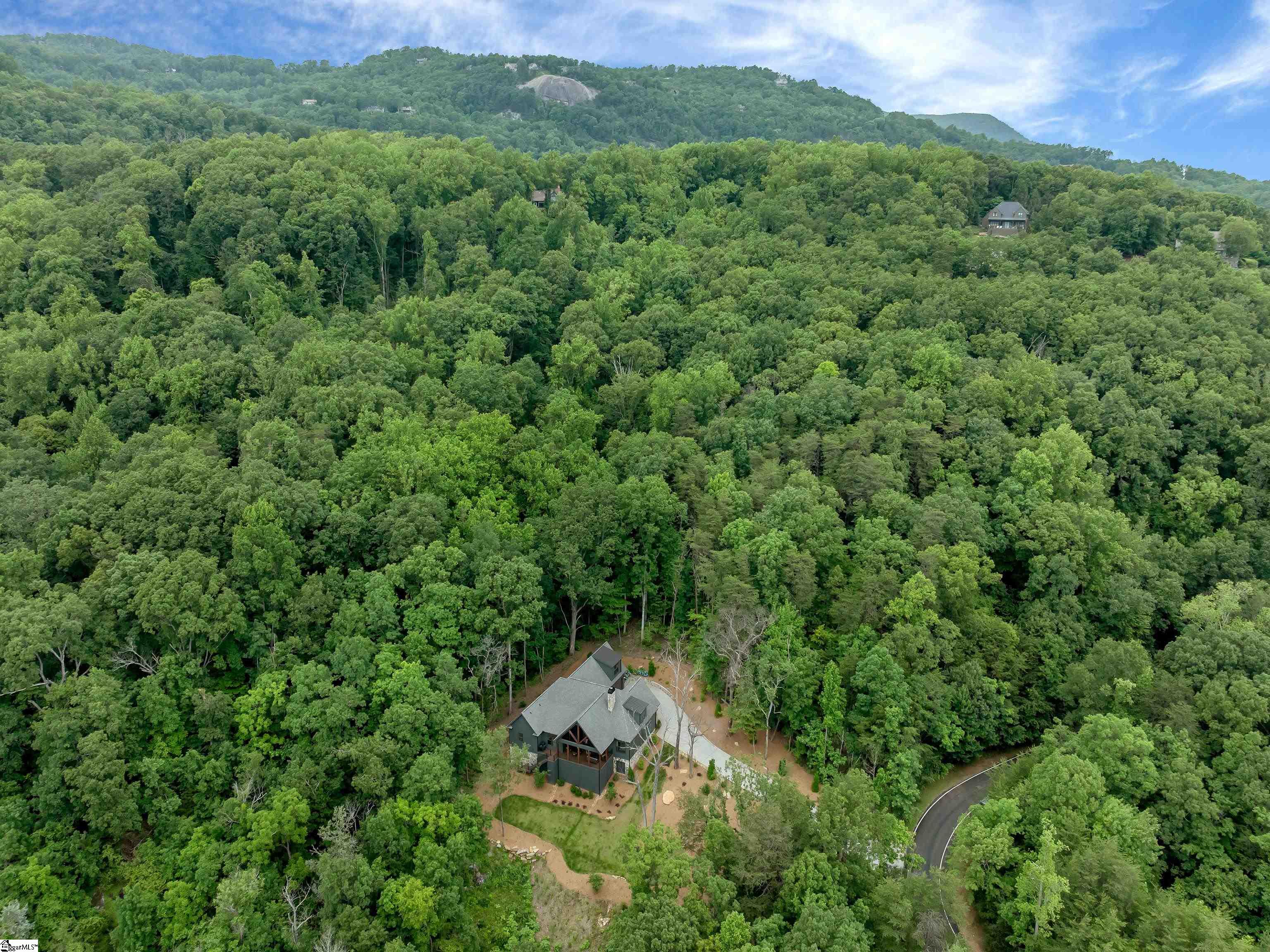 32 Mica Flats, Landrum, South Carolina image 36