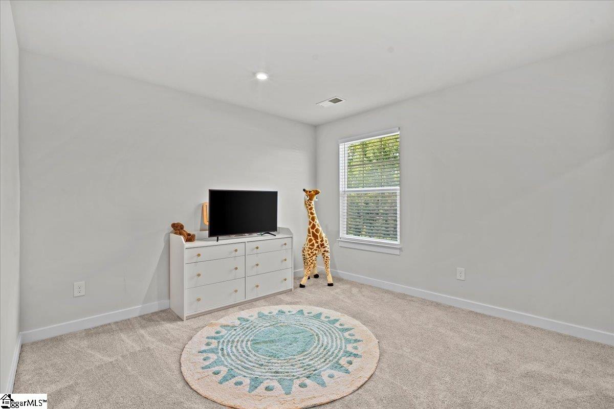 2102 Bluet, Woodruff, South Carolina image 16