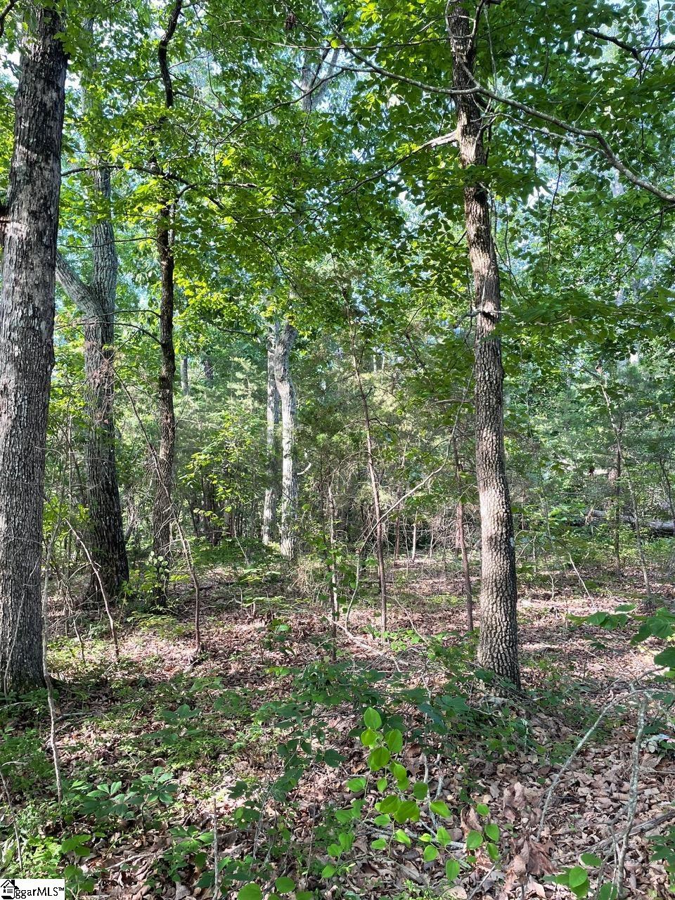 00 Jordan, Greer, South Carolina image 6