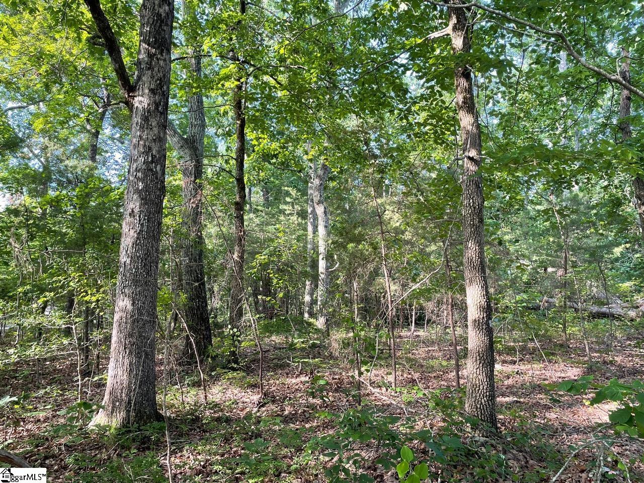 00 Jordan, Greer, South Carolina image 7