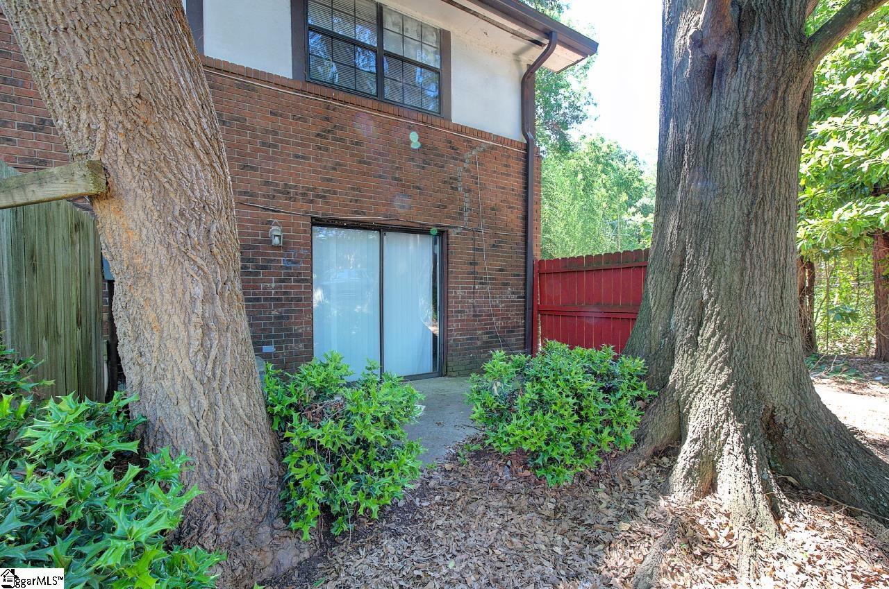 1108 Tiger, Clemson, South Carolina image 25