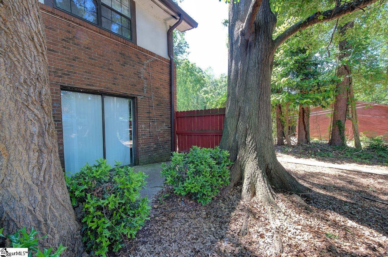 1108 Tiger, Clemson, South Carolina image 26