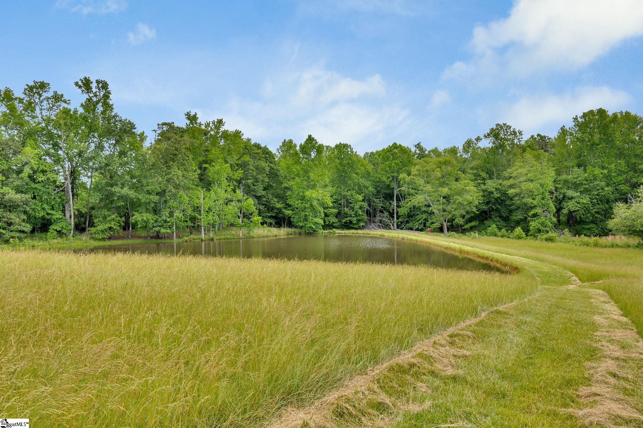 1142 Fox Squirrel Ridge, Pickens, South Carolina image 46