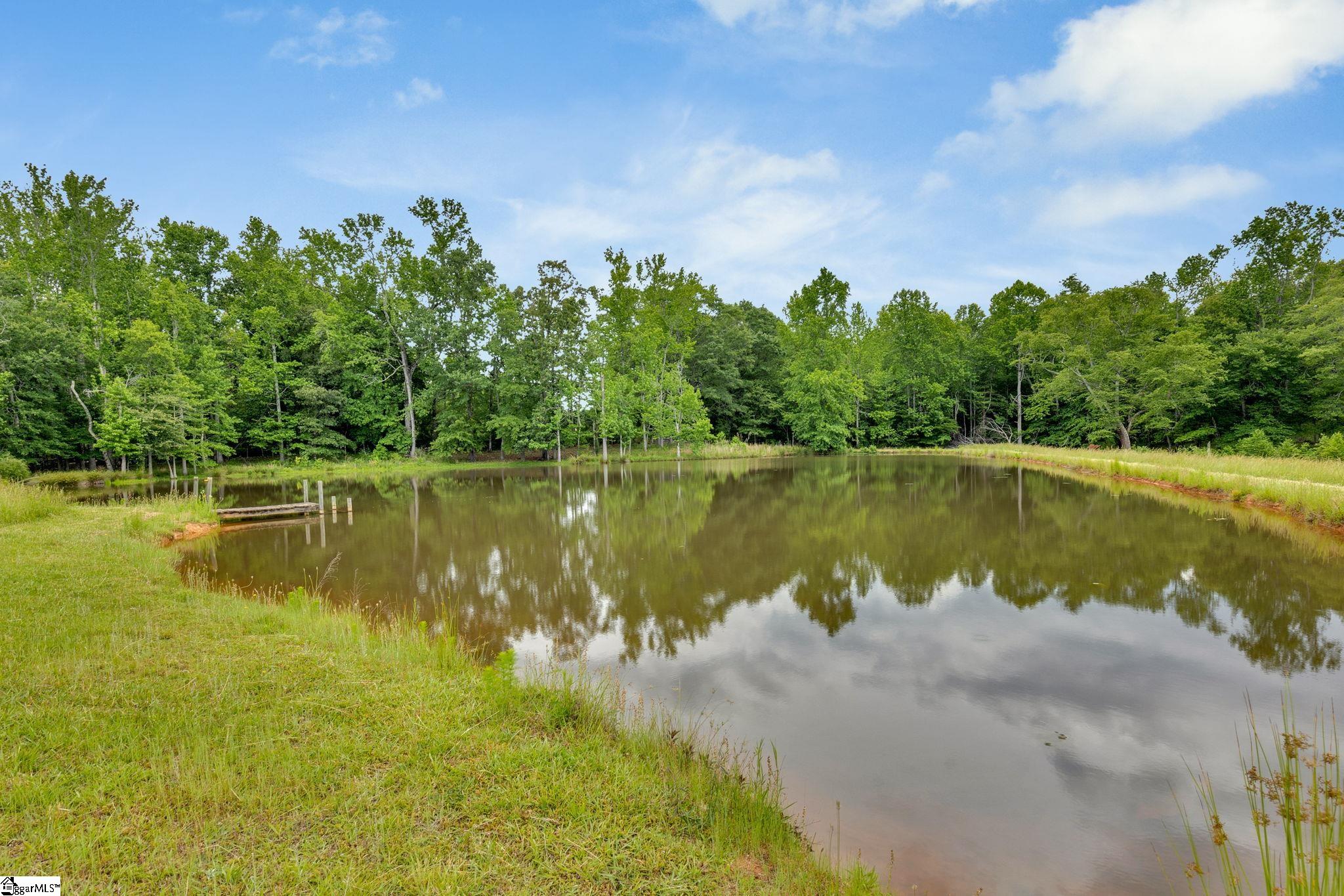 1142 Fox Squirrel Ridge, Pickens, South Carolina image 48