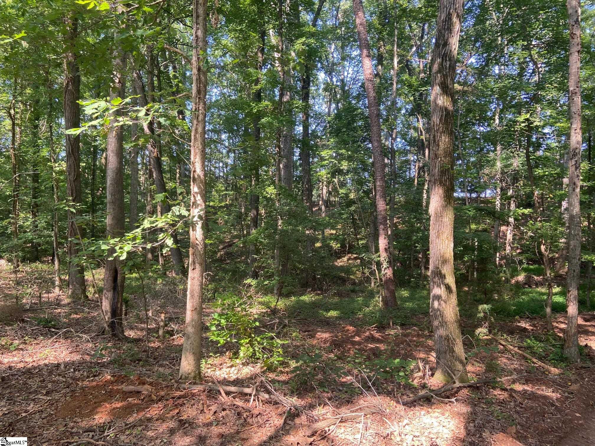 472 Knickerbocker Estate, Fountain Inn, South Carolina image 23