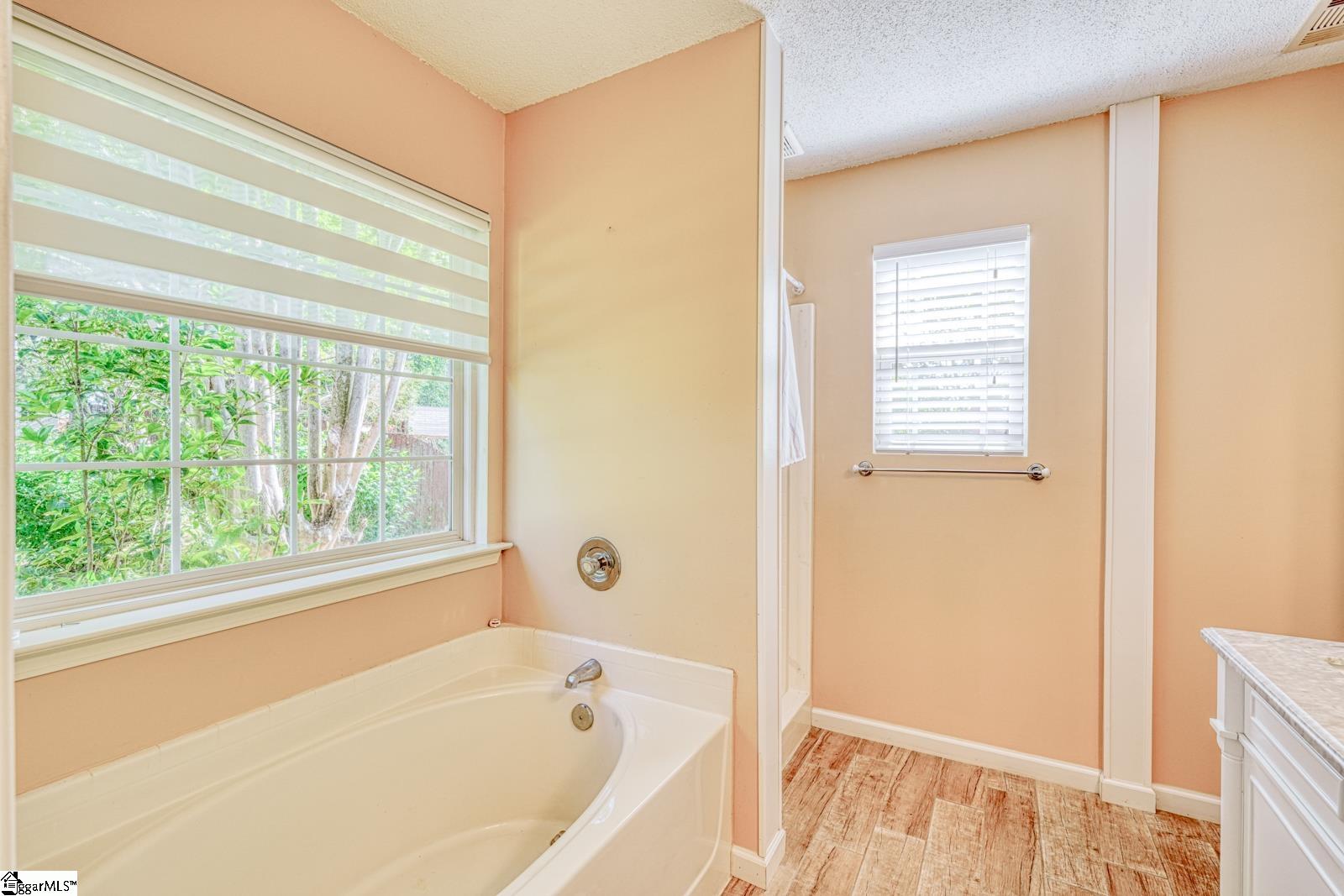 307 Valhalla, Simpsonville, South Carolina image 30