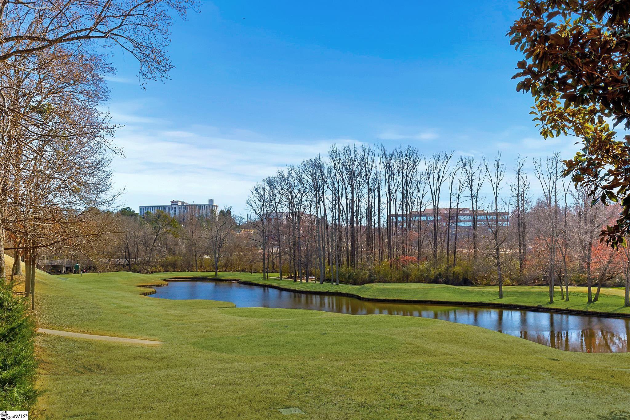 1400 Thornblade, Greer, South Carolina image 4