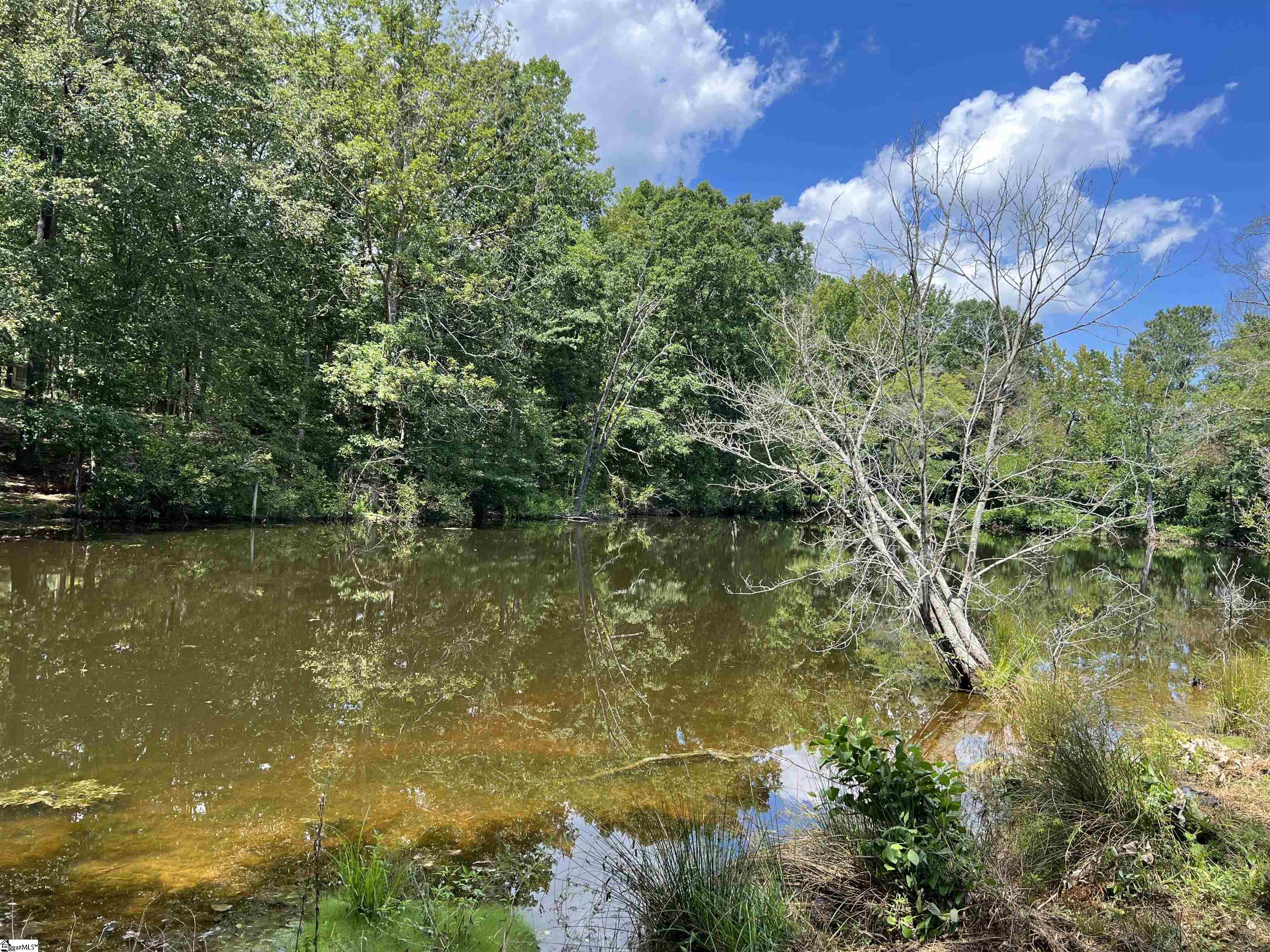 00 Lakeview, Laurens, South Carolina image 2