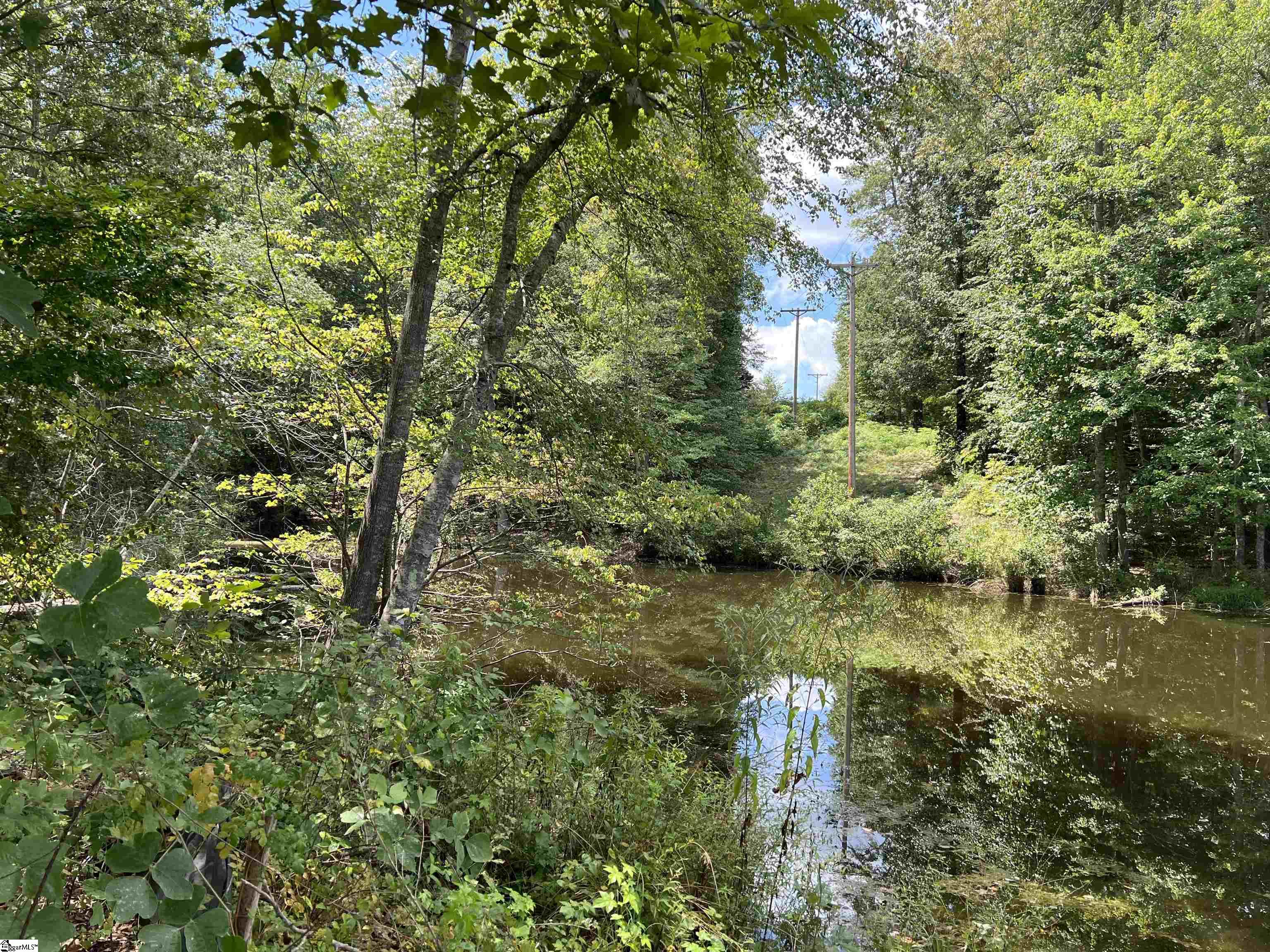 00 Lakeview, Laurens, South Carolina image 4