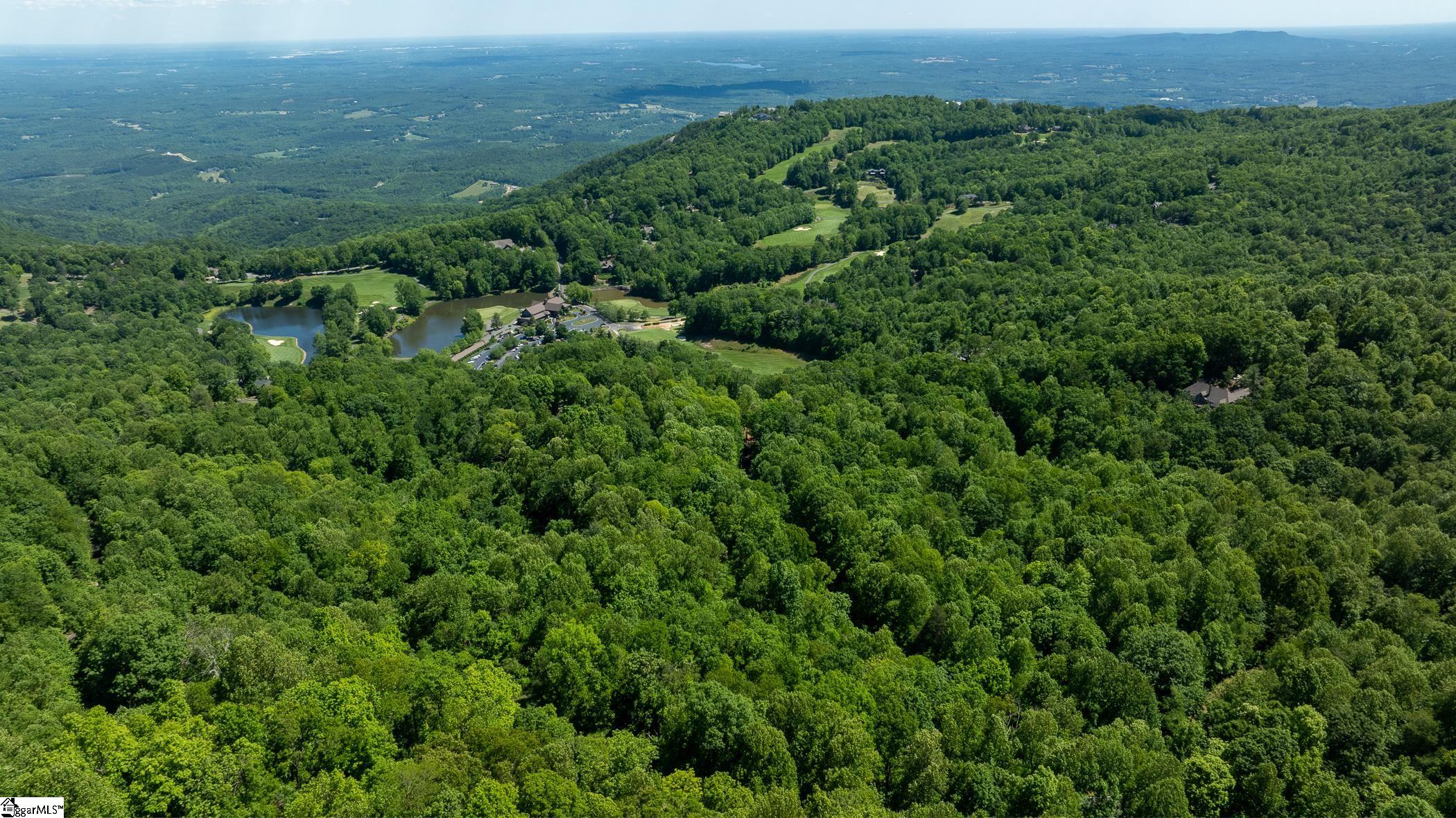 149 Lacey Fern, Landrum, South Carolina image 11