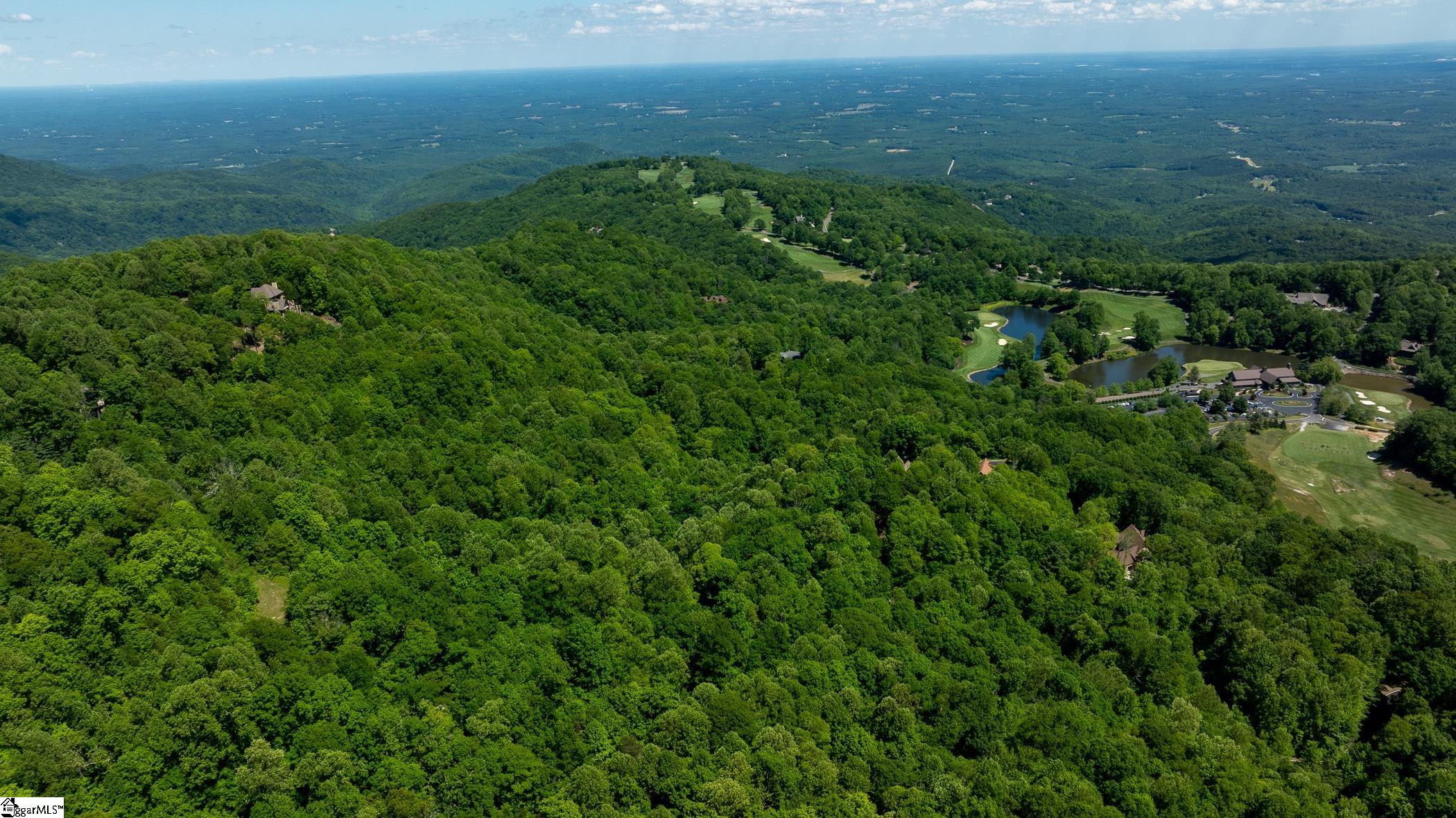149 Lacey Fern, Landrum, South Carolina image 12