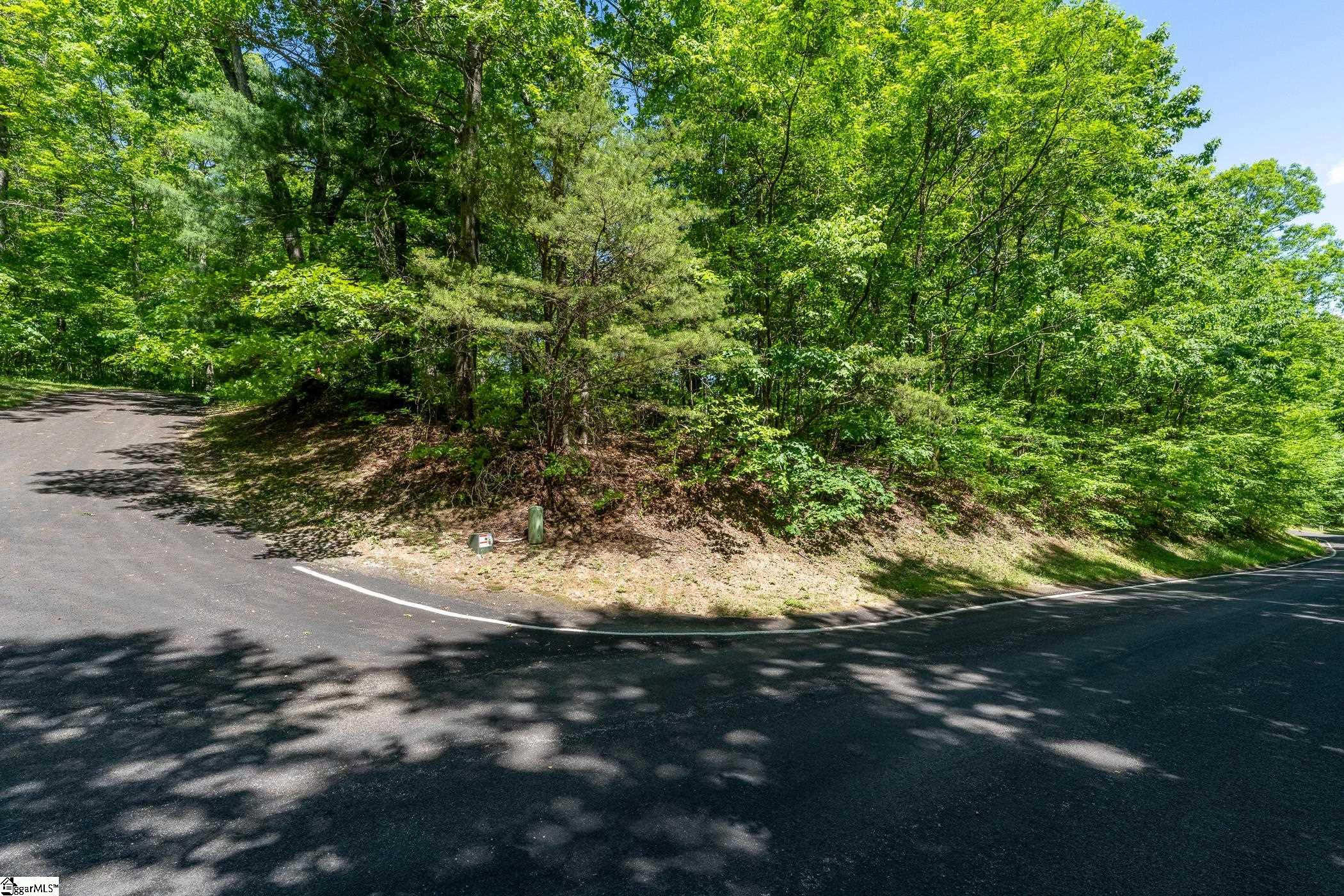 149 Lacey Fern, Landrum, South Carolina image 17