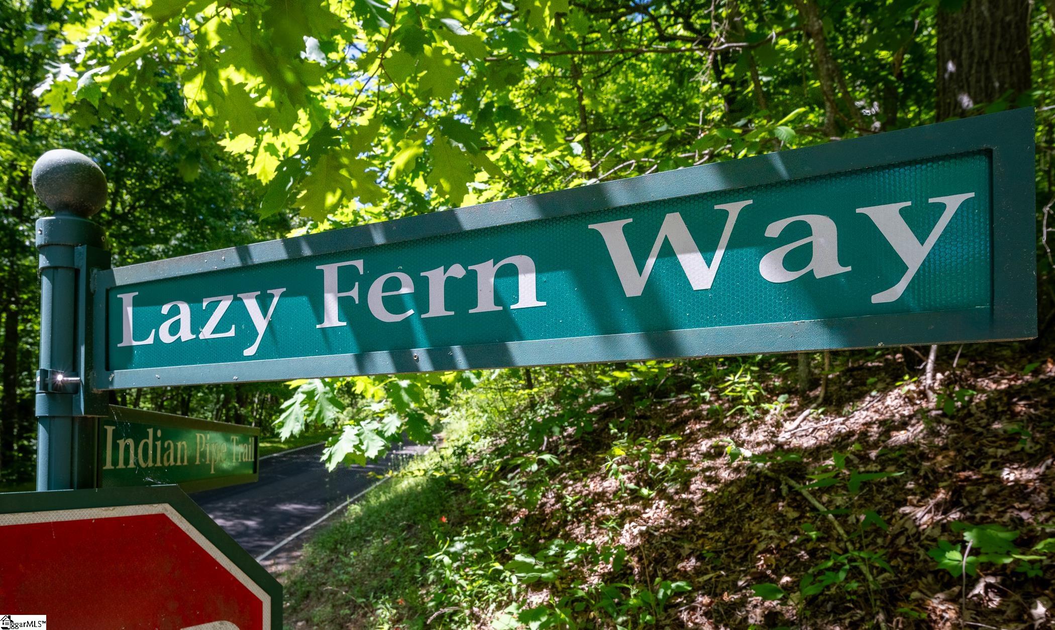 149 Lacey Fern, Landrum, South Carolina image 19