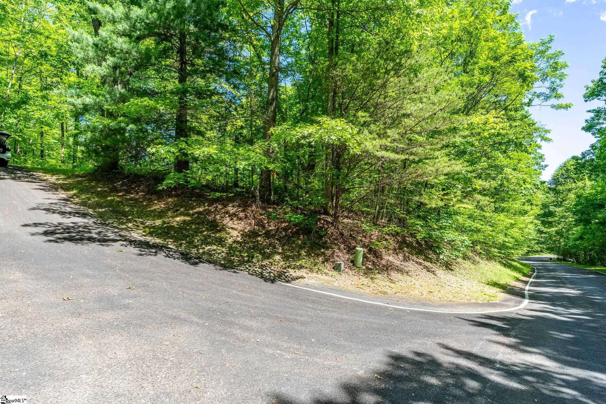 149 Lacey Fern, Landrum, South Carolina image 20