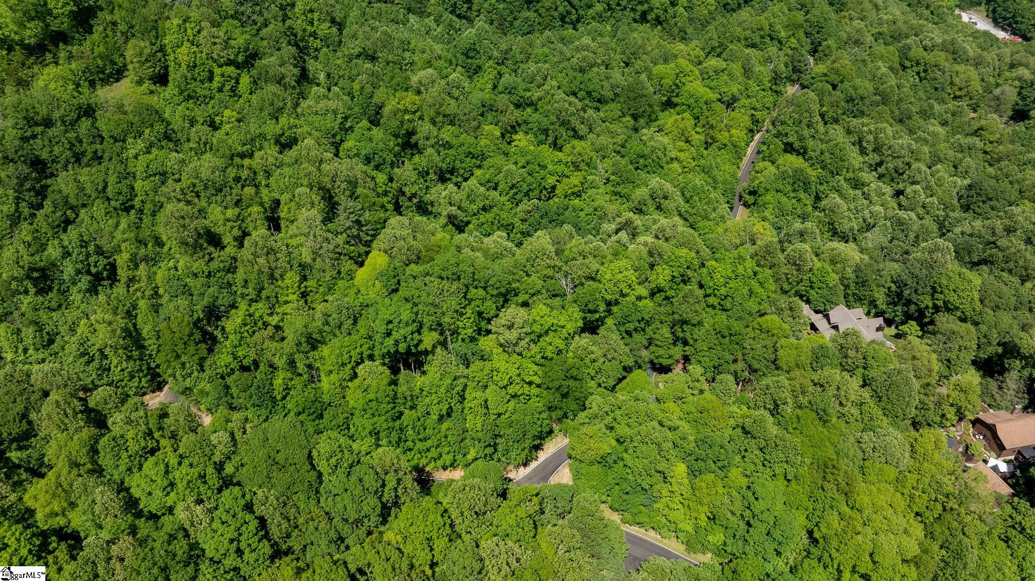 149 Lacey Fern, Landrum, South Carolina image 3
