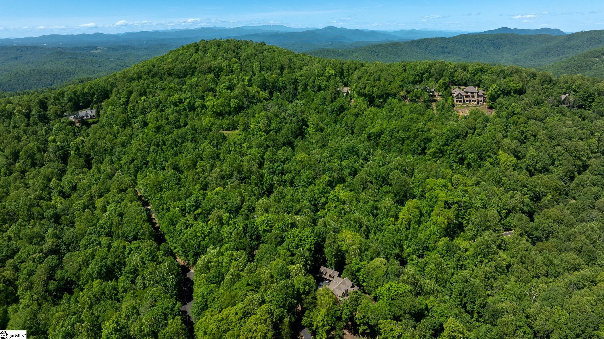 149 Lacey Fern, Landrum, South Carolina image 8