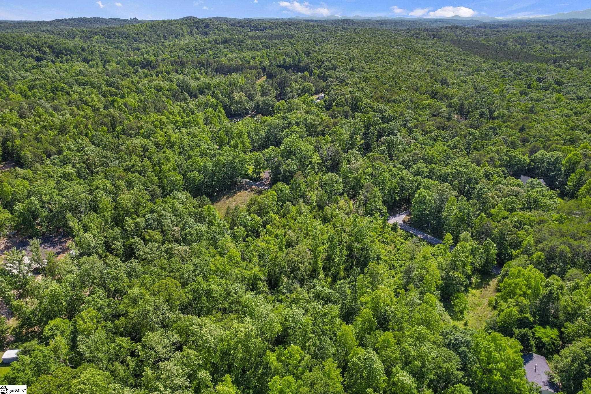 240 Center, Travelers Rest, South Carolina image 9