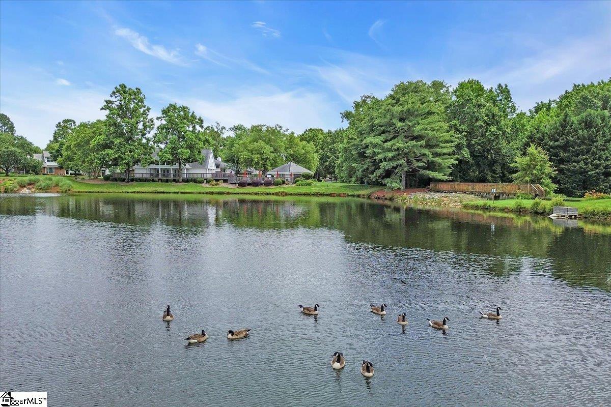 11 Forest Lake, Simpsonville, South Carolina image 43