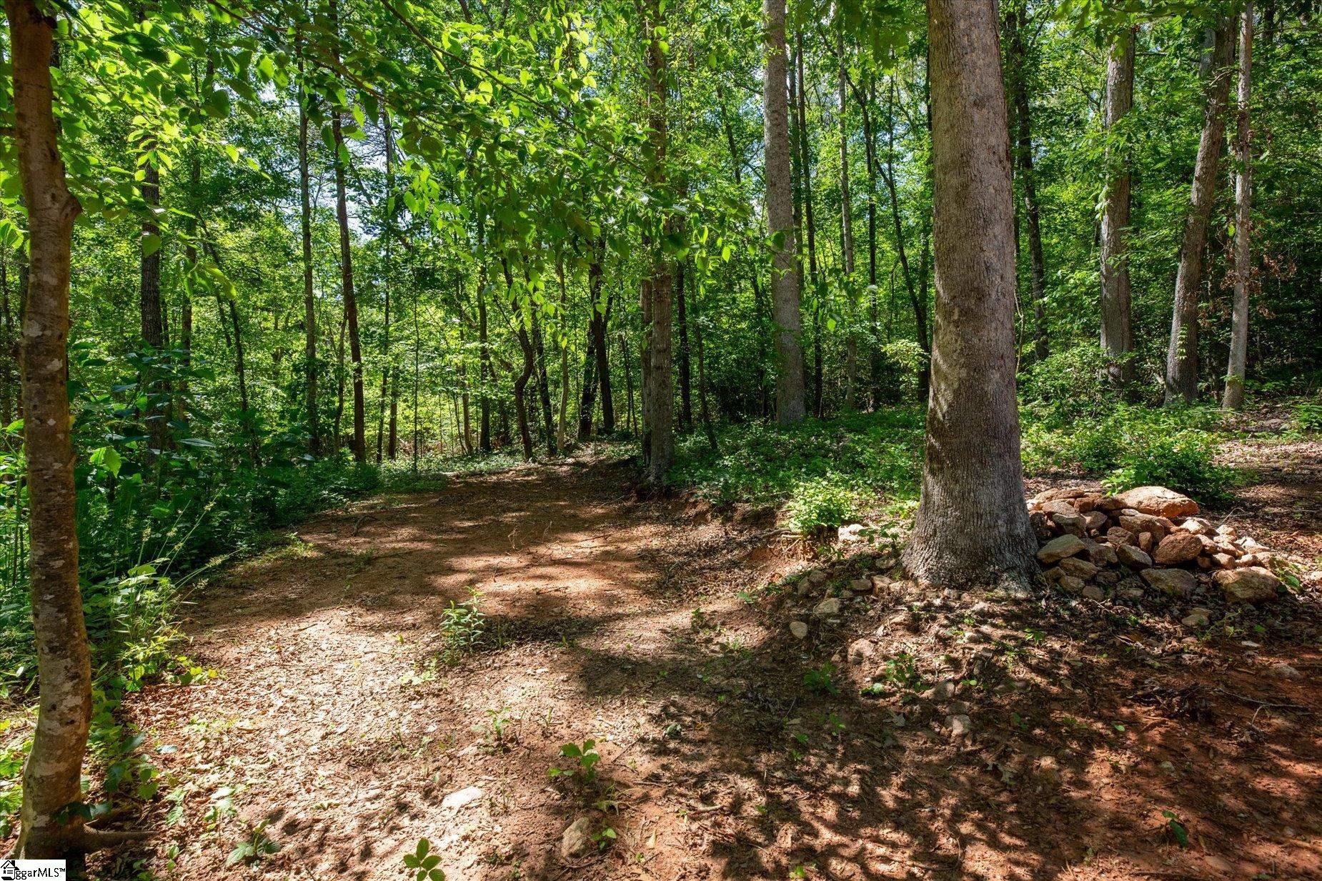 637 Odell, Liberty, South Carolina image 11