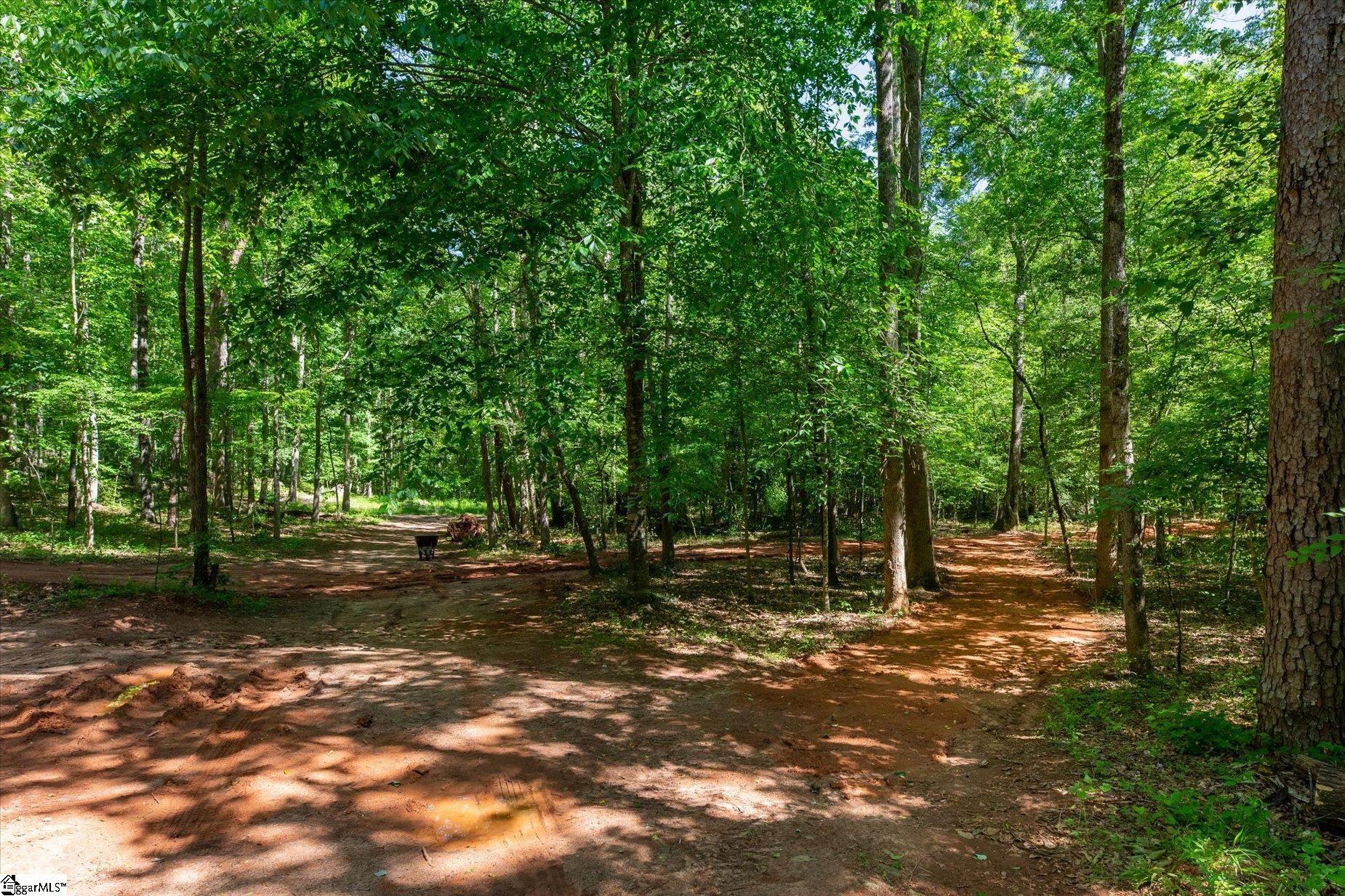 637 Odell, Liberty, South Carolina image 5