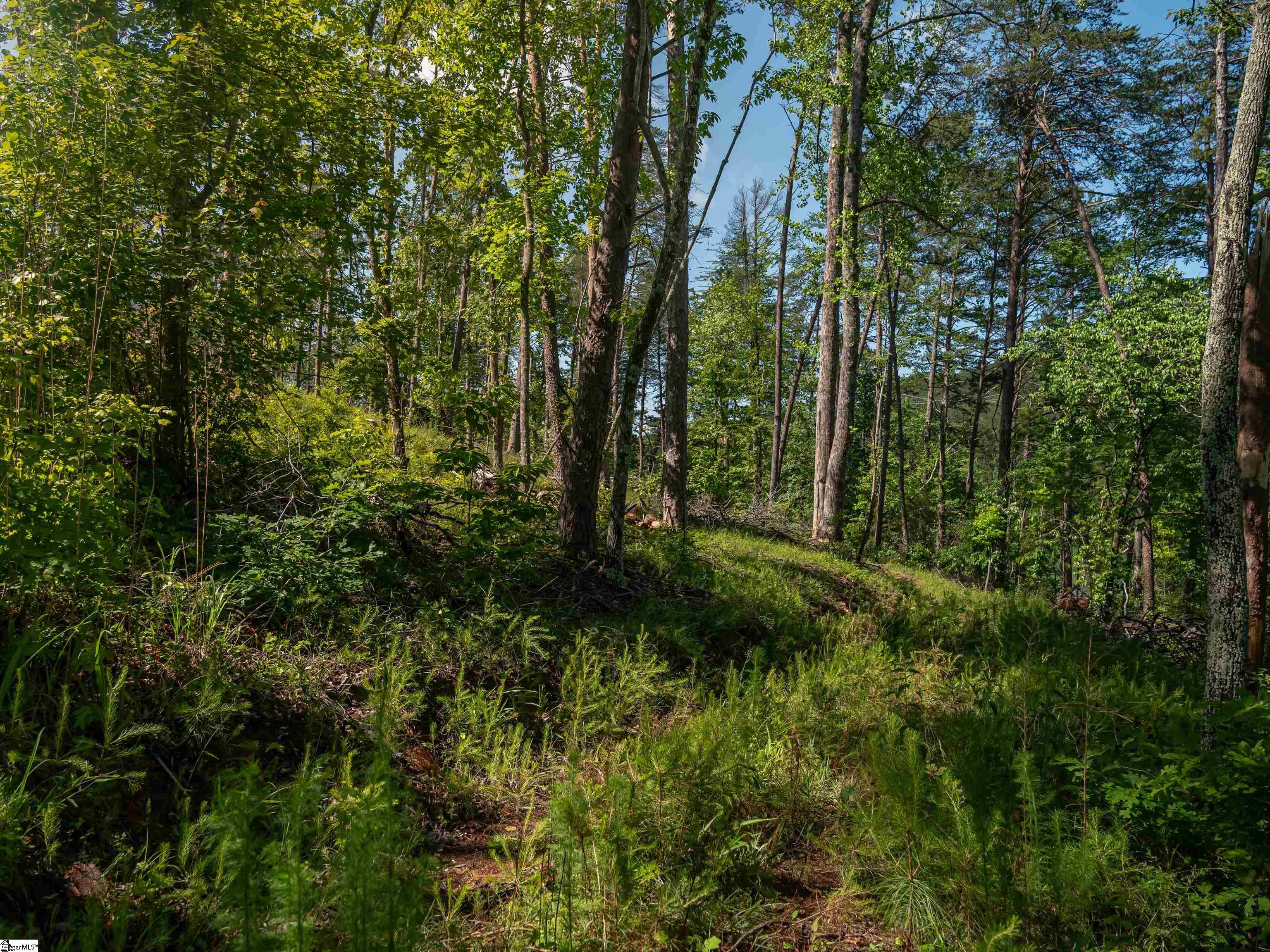 00 Old Keowee Church, Six Mile, South Carolina image 36