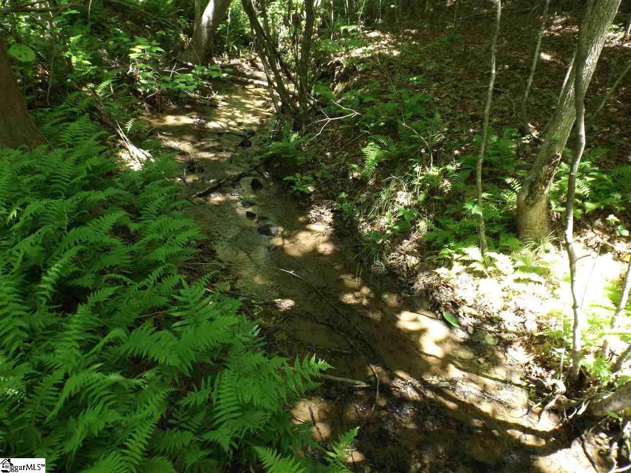 198 Dry Lake, Cleveland, South Carolina image 36