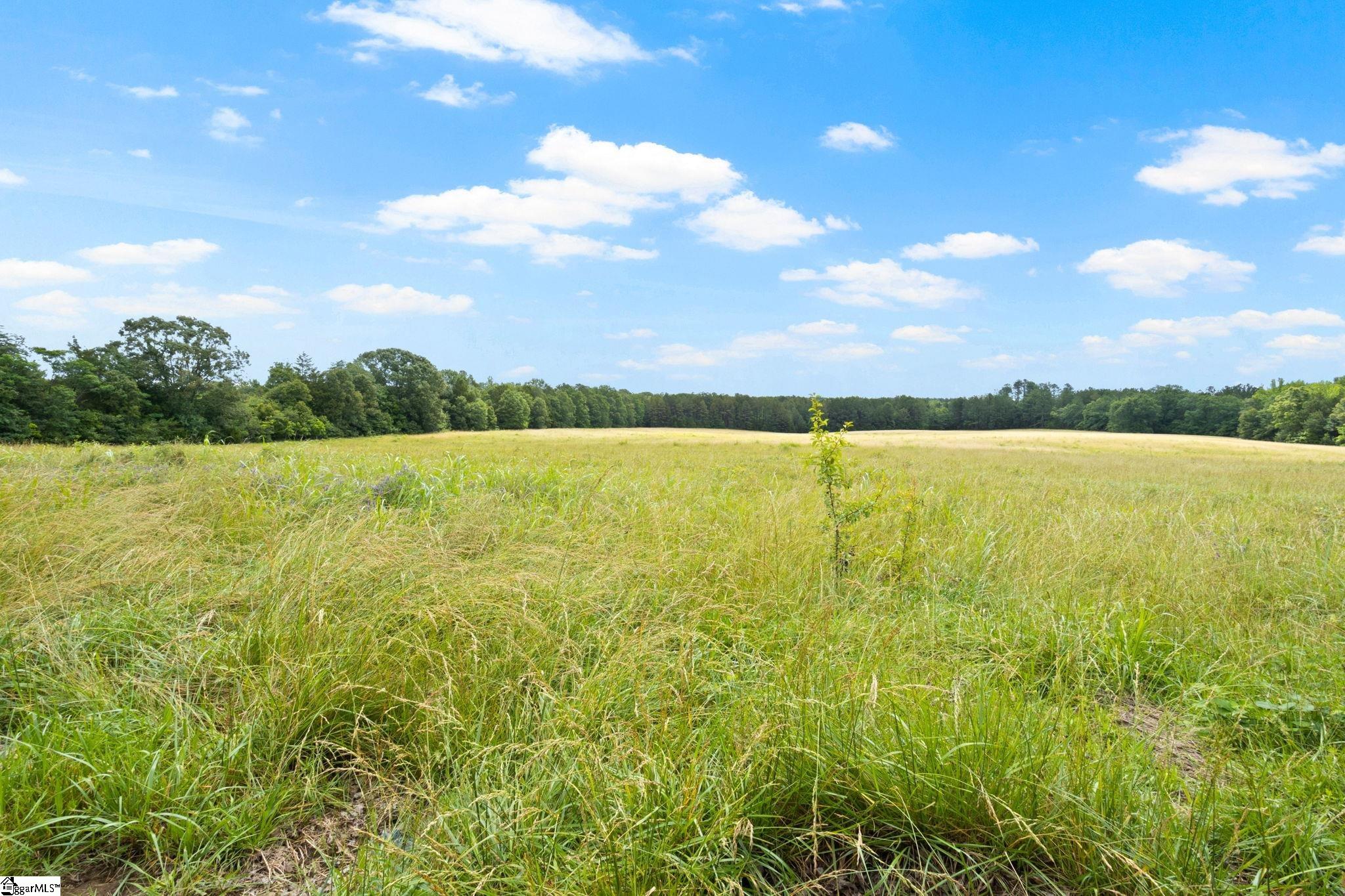 3400 Keowee, Honea Path, South Carolina image 3