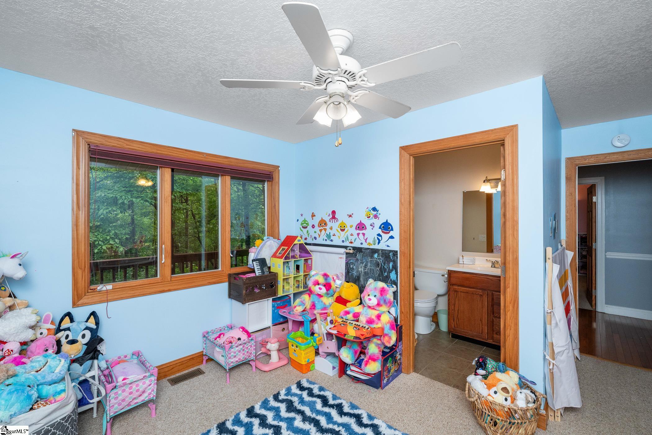 233 Chestnut, Westminster, South Carolina image 14