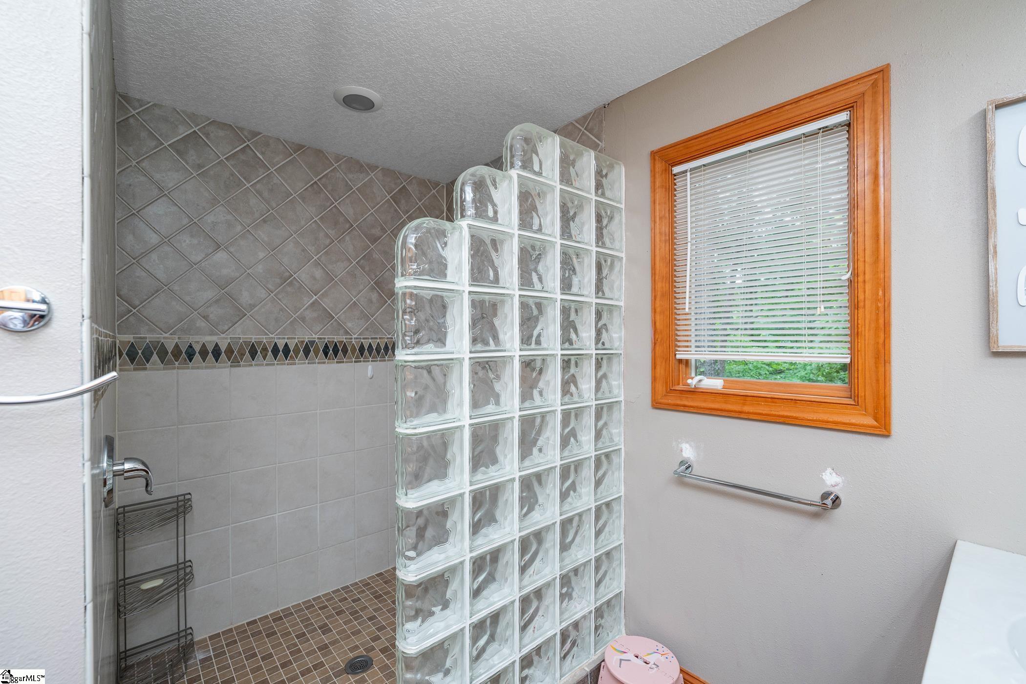 233 Chestnut, Westminster, South Carolina image 33