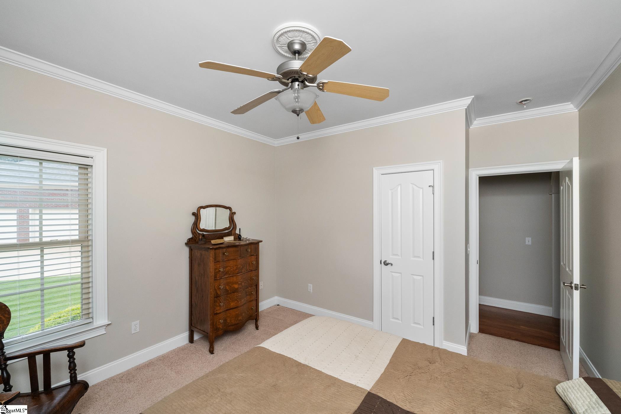3 Swamp Lily, Simpsonville, South Carolina image 25