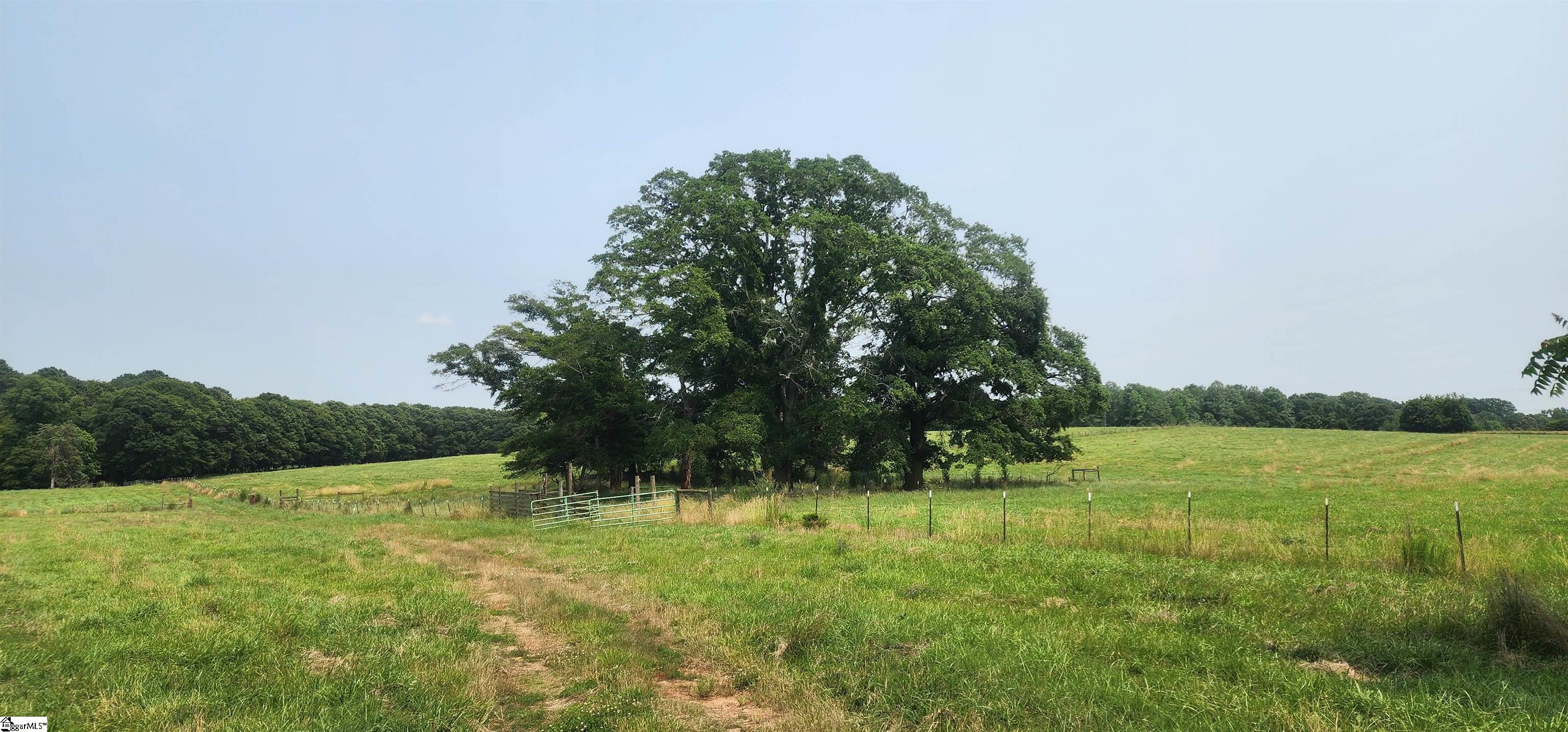 532 Herman Brooks, Belton, South Carolina image 35