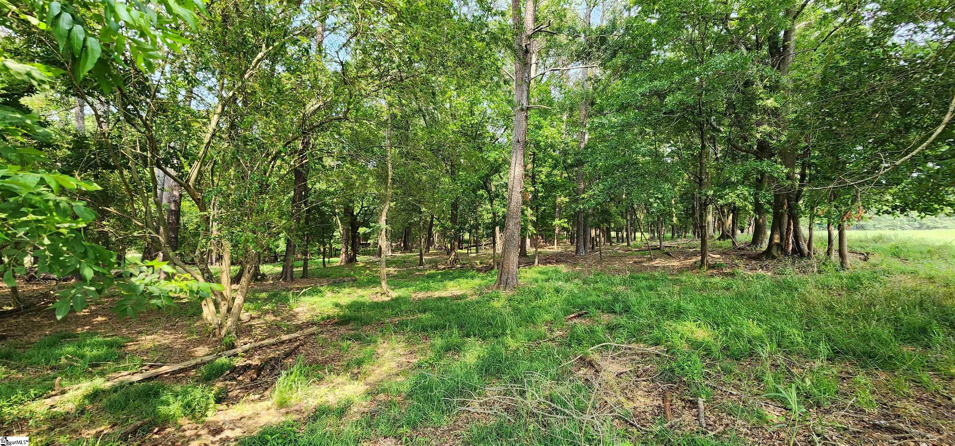 532 Herman Brooks, Belton, South Carolina image 37