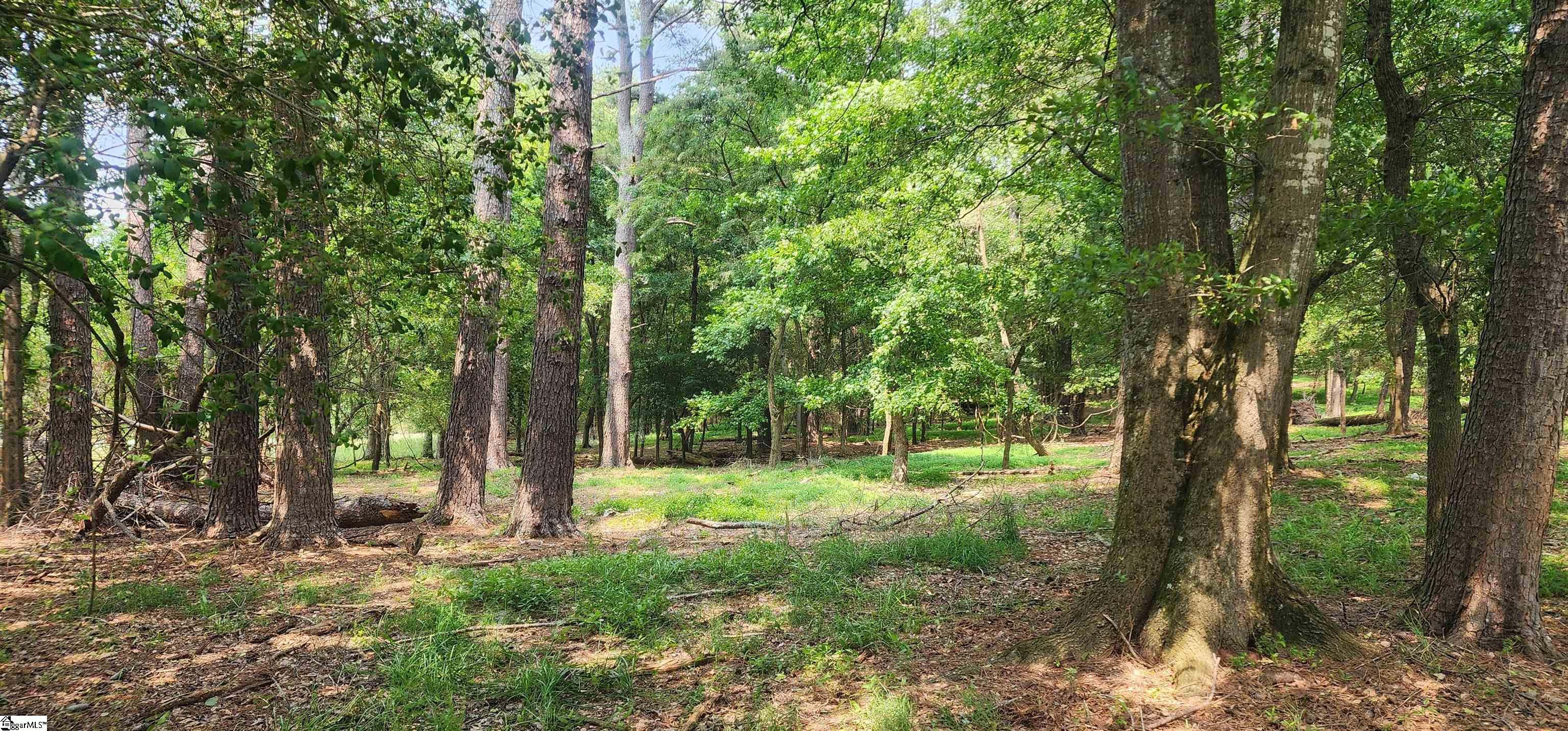 532 Herman Brooks, Belton, South Carolina image 39