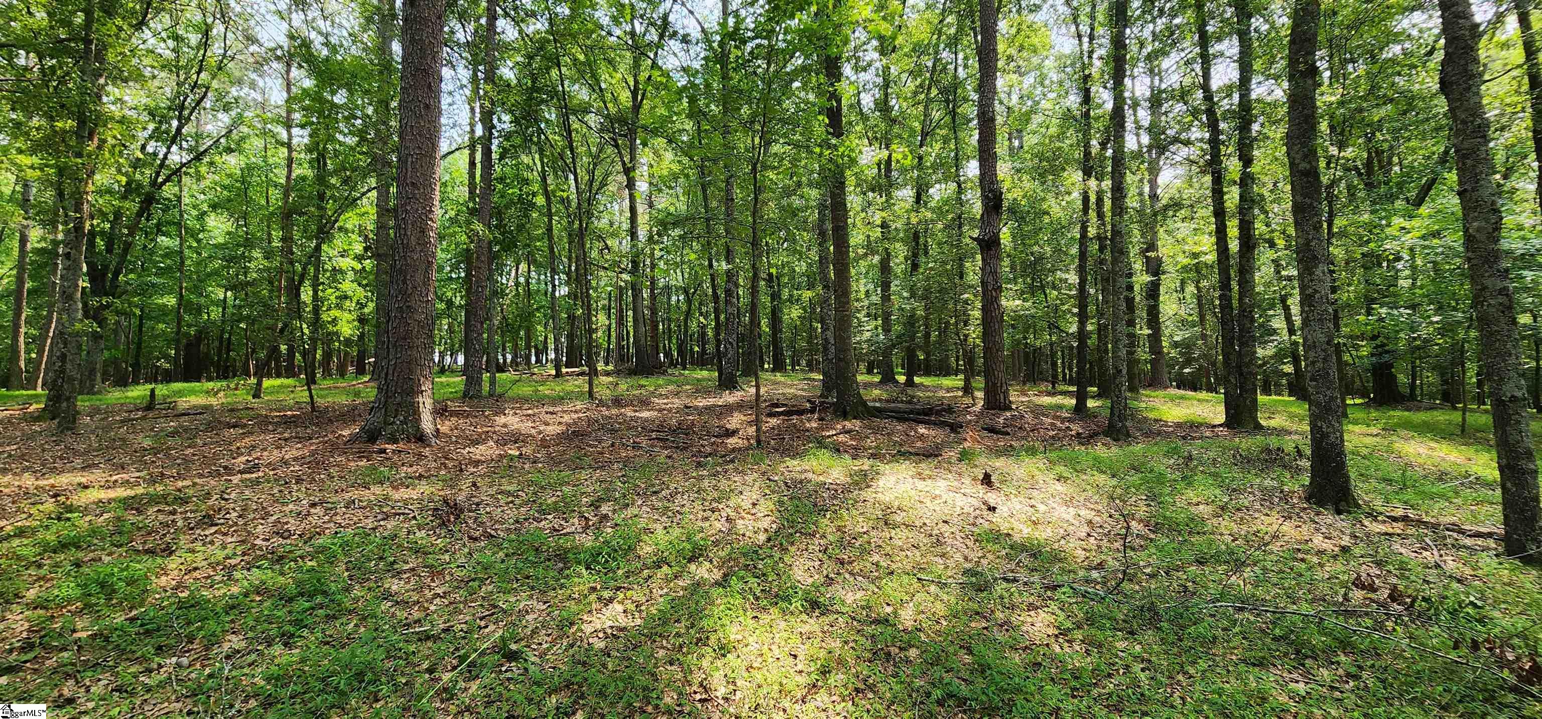 532 Herman Brooks, Belton, South Carolina image 45