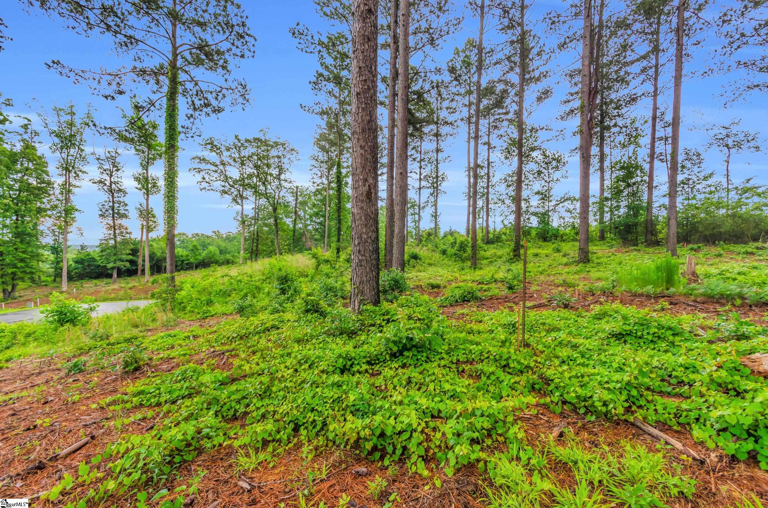 Lot 3 Little Keowee, West Union, South Carolina image 7