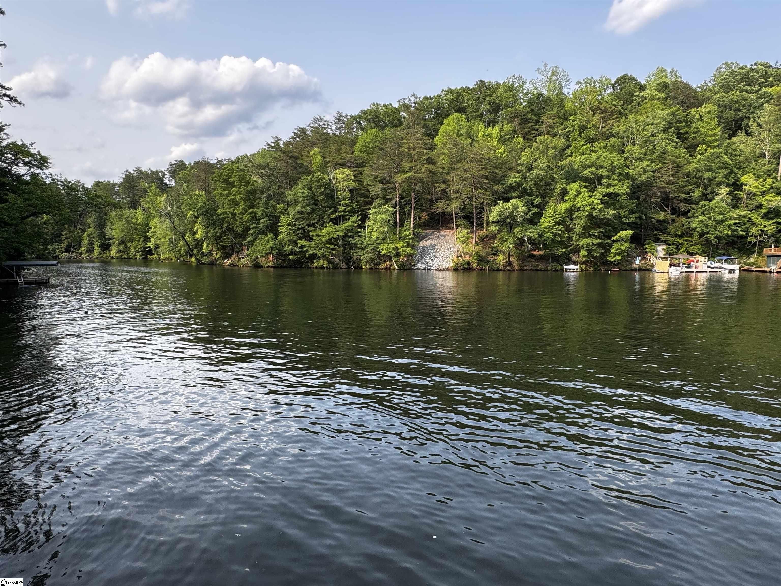 1700 W Lakeshore, Landrum, South Carolina image 18