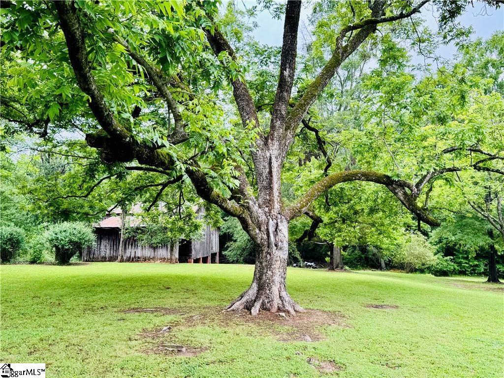 800 Holiday Dam, Honea Path, South Carolina image 15