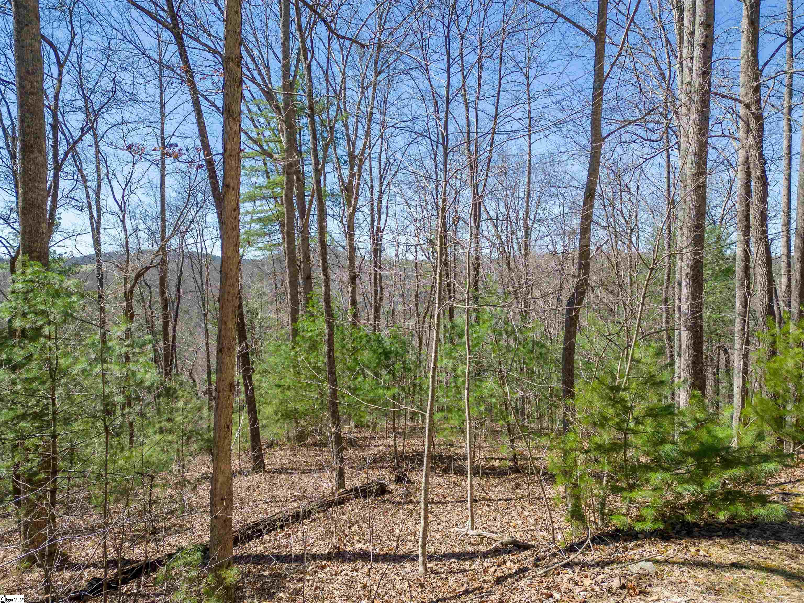132 Overlook Park, Hendersonville, North Carolina image 17