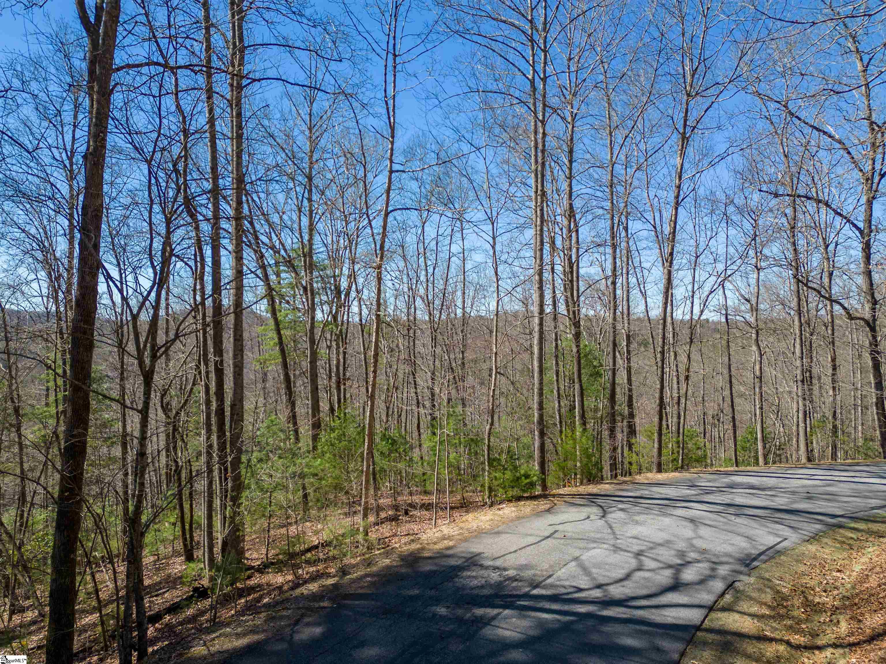 132 Overlook Park, Hendersonville, North Carolina image 6