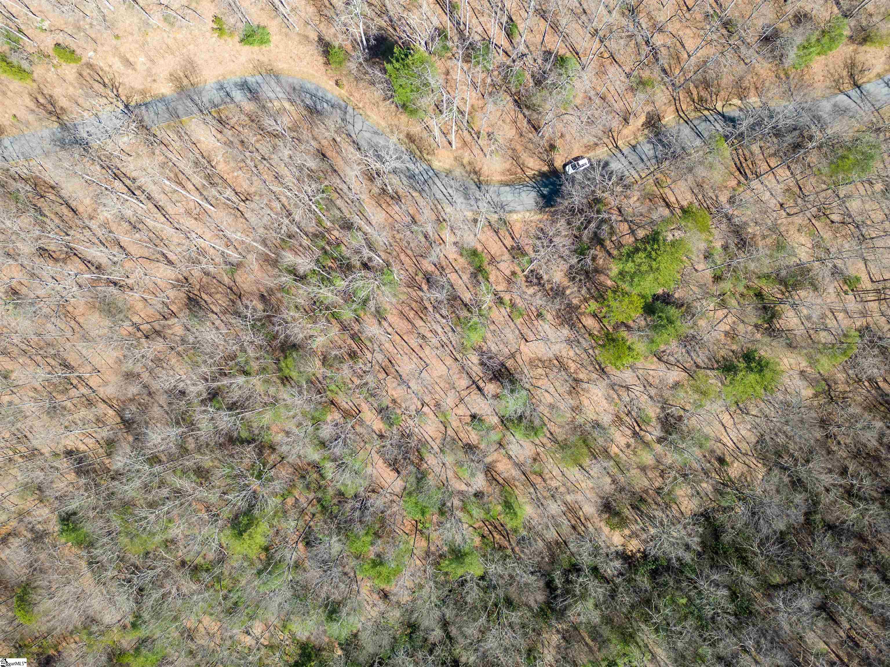 132 Overlook Park, Hendersonville, North Carolina image 7
